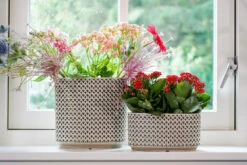 Bloempot Thies Ovaal - L26 X B12 X H13cm - Olijf Groen 5 Bloempot Thies Ovaal - L26 X B12 X H13cm - Olijf Groen -Pokon Winkel planter thies olive green d26x12 h13 bloempot 6 10