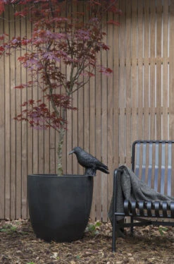 Capi Bloempot Bol Urban Smooth NL - D35 X H34cm - Zwart -Pokon Winkel pot bol smooth nl 35x34 zwart bloempot 6 9