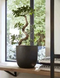 Capi Bloempot Bol Urban Smooth NL - D35 X H34cm - Zwart -Pokon Winkel pot bol smooth nl 35x34 zwart bloempot 7 8