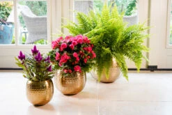 Bloempot Kody Metaal - D17 X H15cm - Goud -Pokon Winkel pot kody gold metaal d17 h15 bloempot 7 10