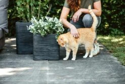 Capi Plantenbak Vierkant Nature Rib NL - L30 X B30 X H30cm - Zwart -Pokon Winkel pot vierkant rib nl 30x30x30 zwart plantenbak 7 8