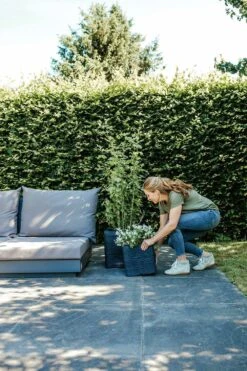 Capi Plantenbak Vierkant Nature Rib NL - L40 X B40 X H40cm - Zwart -Pokon Winkel pot vierkant rib nl 40x40x40 zwart plantenbak 7 8