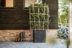 Capi Plantenbak Vierkant Nature Rib NL - L50 X B50 X H50cm - Zwart -Pokon Winkel pot vierkant rib nl 50x50x50 zwart plantenbak 7 8