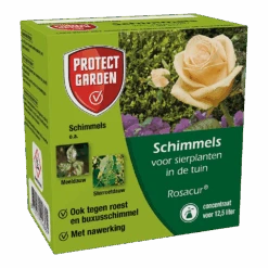 Rosacur 50ml - Schimmels