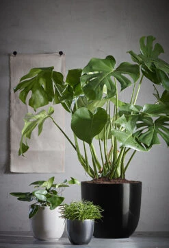 Bloempot Tusca - D25 X H23cm - Antraciet -Pokon Winkel tusca pot rond antraciet h23xd25cm bloempot 6 12