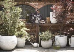 Capi Bloempot Hoog Nature Rib NL - D40 X H32cm - Ivoor -Pokon Winkel vaas bol rib nl 40x32 ivoor bloempot 6 3