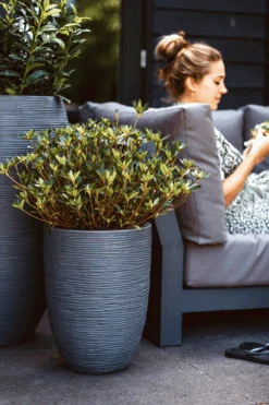 Capi Bloempot Nature Elegant Rib NL - D34 X H46cm - Donkergrijs -Pokon Winkel vaas elegant laag rib nl donkergrijs bloempot 2 4