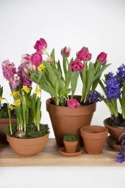 Bloempot Vaso - D37 X H32.5cm - Oranje -Pokon Winkel vaso 01370iz d37h325 bloempot 6 8