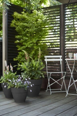 Bloempot Elho Vibia Campana Rond 40cm - Antraciet -Pokon Winkel vibia campana rond 40 bloempot antraciet 7 11