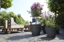 Bloempot Elho Vibia Campana Rond 55cm - Antraciet -Pokon Winkel vibia campana rond 55 bloempot antraciet 6 11