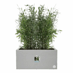 Elho Vivo Next Lang Wielen 80cm - Warm Grijs -Pokon Winkel vivo matt lang wielen 80cm warm grijs 5 1