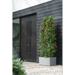 Elho Vivo Next Lang Wielen 80cm - Warm Grijs -Pokon Winkel vivo matt lang wielen 80cm warm grijs 6 1