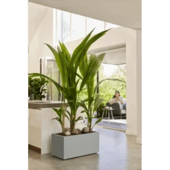 Elho Vivo Next Lang Wielen 80cm - Warm Grijs -Pokon Winkel vivo matt lang wielen 80cm warm grijs 7 1