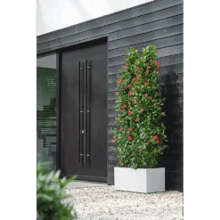 Elho Vivo Next Lang Wielen 60cm - Wit -Pokon Winkel vivo next lang wielen 60cm wit 6 1