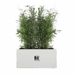 Elho Vivo Next Lang Wielen 80cm - Wit -Pokon Winkel vivo next lang wielen 80cm wit 5 1