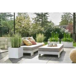 Elho Vivo Next Vierkant Wielen 40cm - Wit -Pokon Winkel vivo next vierkant wielen 40cm wit 7 1