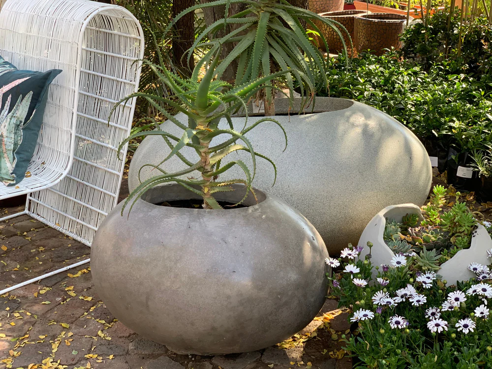 Voorkant -Pokon Winkel IMG 9711 1c2cc268 258b 45d2 ac8b 1adda29ac671